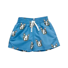 Baby Boys Swim Trunk - Blue Boston Terrier